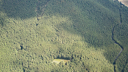 Aerial top view forest tree, Rainforest ecosystem and healthy environment concept and background,...