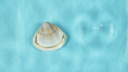 Water background. Blue water texture, surface of blue swimming pool and starfish, shell. Spa concept background. Flat lay, top view, copy spaceの写真素材