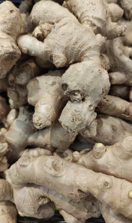 Ginger root and ginger slice. Fresh ginger root and ground ginger spiceの写真素材