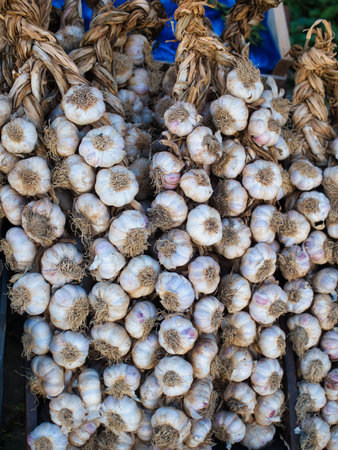 Ripe garlic hanging on the door against the background in the village