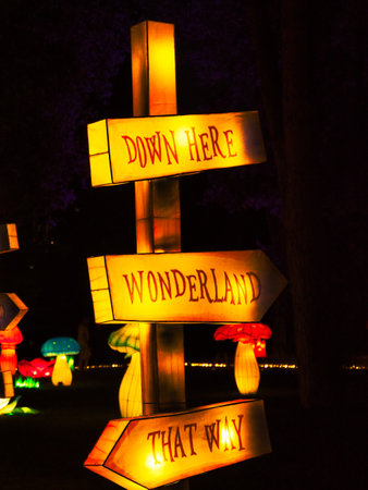 many signs in wonderland at nightの写真素材