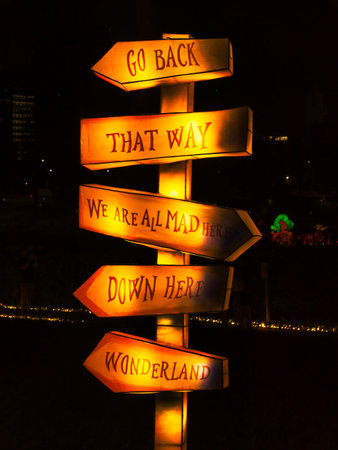 many signs in wonderland at nightの写真素材