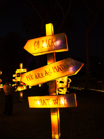 many signs in wonderland at night