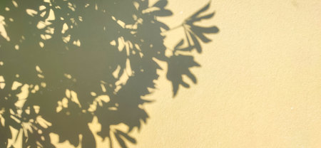 Sunlight dances through leaves casting intricate shadows on a warm wall during a tranquil afternoon in the park Generative AIの写真素材