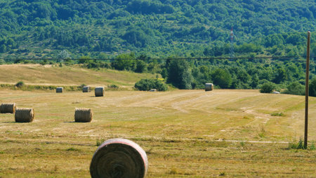 Lush green hills and golden hay bales create a picturesque rural landscape in the warm afternoon sunlightの写真素材