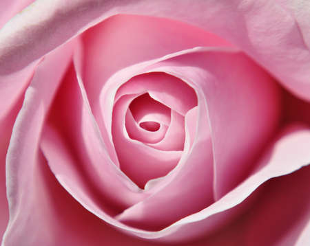 Untouched beautyの写真素材