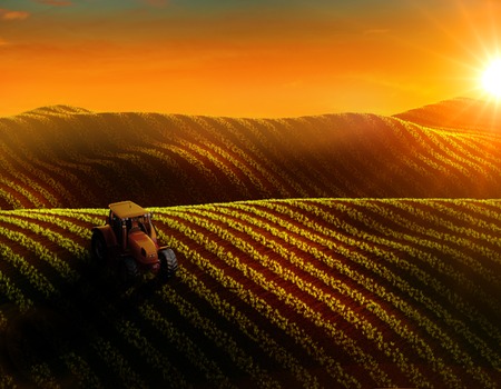3d illustration of aerial view of field with rows of growing crop or vegetables and tractor ploughing it. Sunset or sunrise lightの写真素材