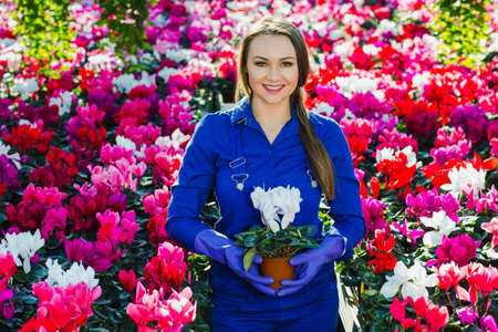 garden center worker holding a flower in a pot, standing in the center of the greenhouse and smiling at the cameraの写真素材