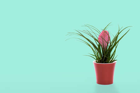 Pink tillandsia in a pot on turquoise background, spring greeting cardの写真素材