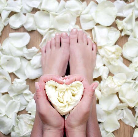 valentines day heart in hands in spa with rose flowers and petalsの写真素材