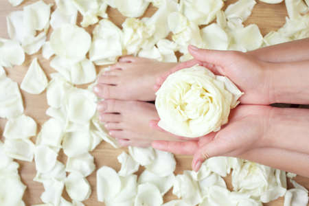 tanned hands and feet in spa with rose flowers and petalsの写真素材