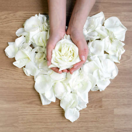 beautiful female hands rose petals flower heart holding in spa の写真素材