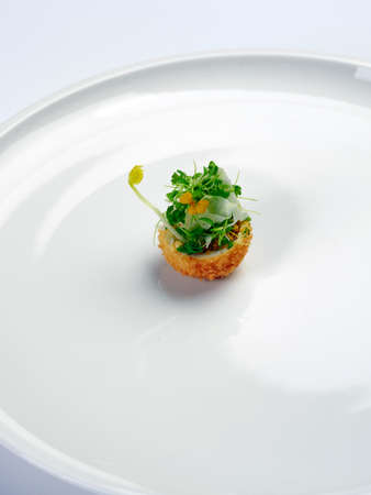 high class michelin star chef fusion restaurant plate of mix of ingridients served on big white...
