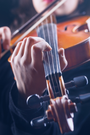 Playing the violin. Musical instrument with performer handsの写真素材