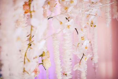 Fresh flowers in a wedding decoration. Backgroundの写真素材