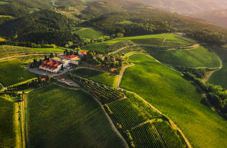 Beautiful morning Tuscany landscape in May. Green panoramic perspective hills and fields. Toscana, Italy, Europe.の写真素材