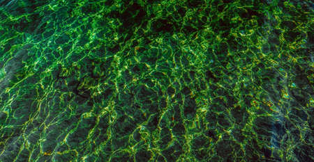Water background. Ripples on green transparent water in sea with sun reflection. Top view. Abstract texture and structure.の写真素材