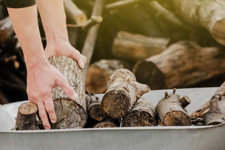 Mens hands close-up put sawn-off logs. Ecological and forestry concept. Logs for the bath. Household chores.の写真素材