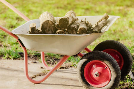 Construction trolley with logs in the garden. Green grass background with sun lights. Horticulture...