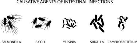 ILLUSTRATION OF CAUSATIVE AGENTS OF ACUTE INTESTINAL INFECTIONSのイラスト素材