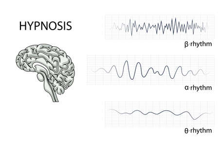 illustration of the brain, alpha, beta, and theta rhythm.のイラスト素材