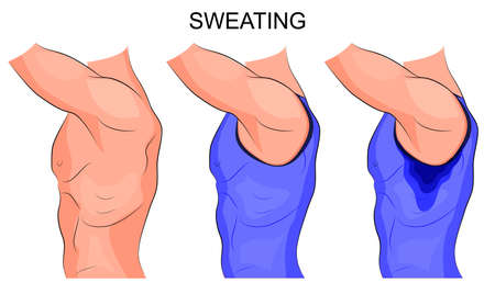 illustration of a beefy male torso with sweaty armpitsのイラスト素材