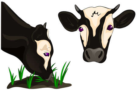 illustration of a cow eating grassのイラスト素材