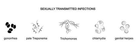 illustration of the causative agents of genital infections. microbiologiaのイラスト素材