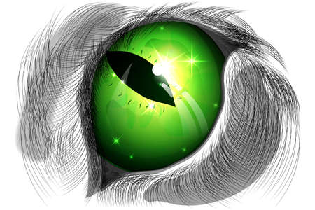 vector illustration of green cat eye against a white coatのイラスト素材