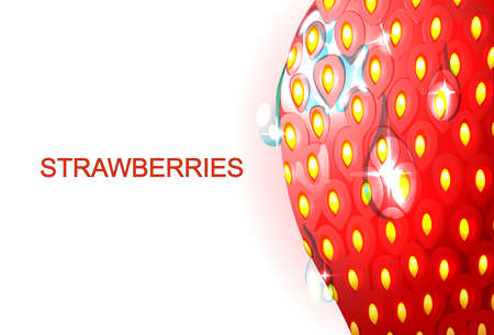 vector illustration of strawberry with magnificationのイラスト素材