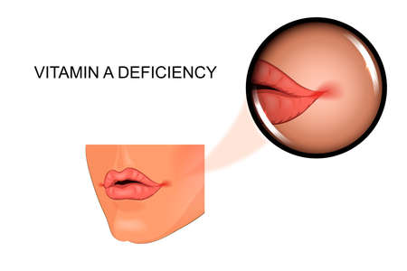 vector illustration of signs of vitaminのイラスト素材