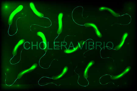 Vector illustration of a cholera vibrion bacteria.のイラスト素材