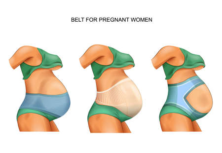 vector illustration of a belt for pregnant womenのイラスト素材