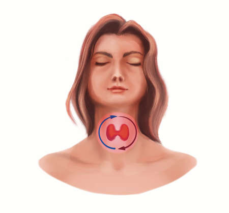 Illustration of the woman and thyroid glandの写真素材