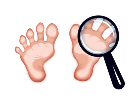 illustration of healthy female feetの写真素材