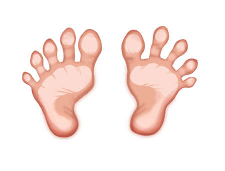 illustration of healthy female feetの写真素材