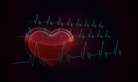 3d render of heart and cardiogramの写真素材