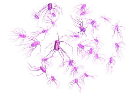 3d render of salmonella, the causative agent of salmonellosis.の写真素材