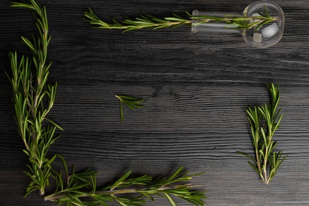 organic green rosemary on tableの写真素材