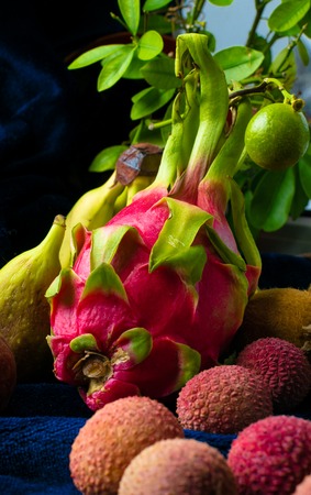exotic organic tropical fruits, fig, lime tree, dragon, lychees, bananas in dark background