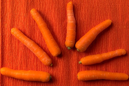 raw organic orange mini baby carrots on the orange background, top viewの写真素材