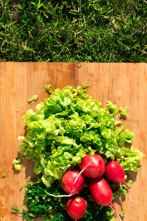 fresh healthy green dill and salad and red radish on wooden boardの写真素材