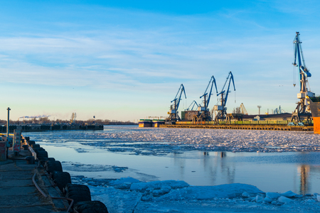 Cranes in port. Industrial dock in eveningの写真素材