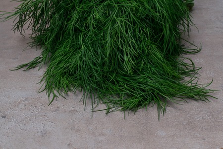 Fresh green bunches of garden dill on grey background, text space. Food and nutrition.