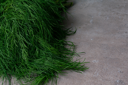 Fresh green bunches of garden dill on grey background, text space. Food and nutrition.の写真素材