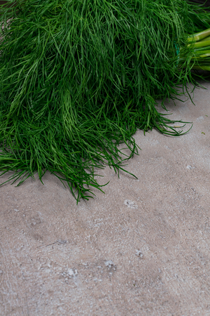 Fresh green bunches of garden dill on grey background, text space. Food and nutrition.の写真素材