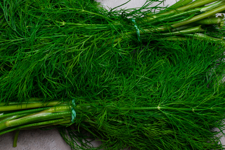 Fresh green bunches of garden dill on grey background, text space. Food and nutrition.の写真素材