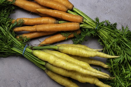Food. Delicious harvested organic carrot on the grey tableの写真素材