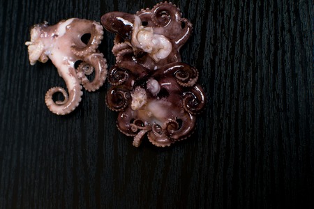 Raw octopus in oil isolated on black table, ready to eat. Seafood. Top view with space for your...