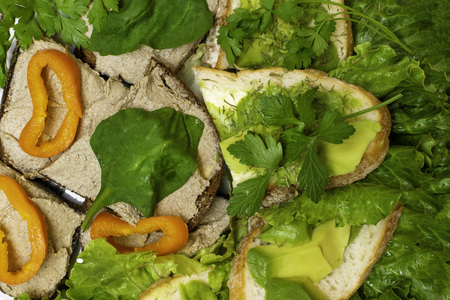 Fresh prepared bread slices or sandwiches with homemade mackerel or tuna fish and pork liver paste, lettuce, parsley, Toasts with avocado paste and orange pepper, healthy nutrition conceptの写真素材